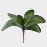 folha de orquidea verde grande flor artificial flor permanente lili casa e construcao
