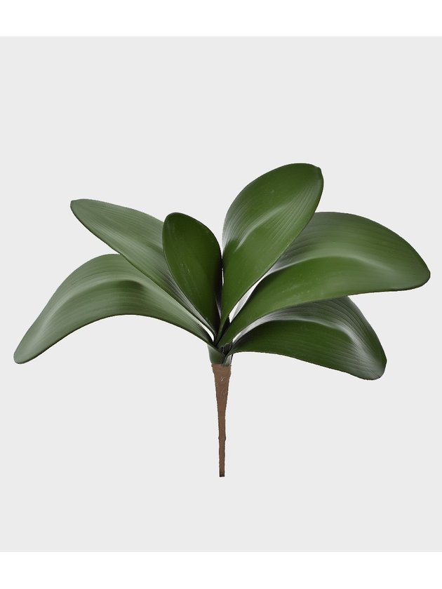 folha de orquidea verde grande flor artificial flor permanente lili casa e construcao