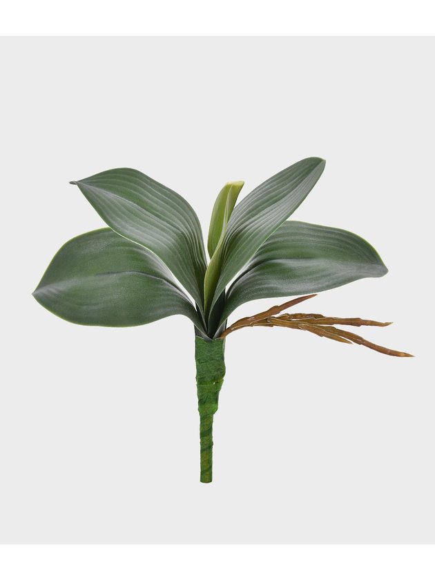 folha de orquidea verde pequena flor artificial flor permanente lili casa e construcao
