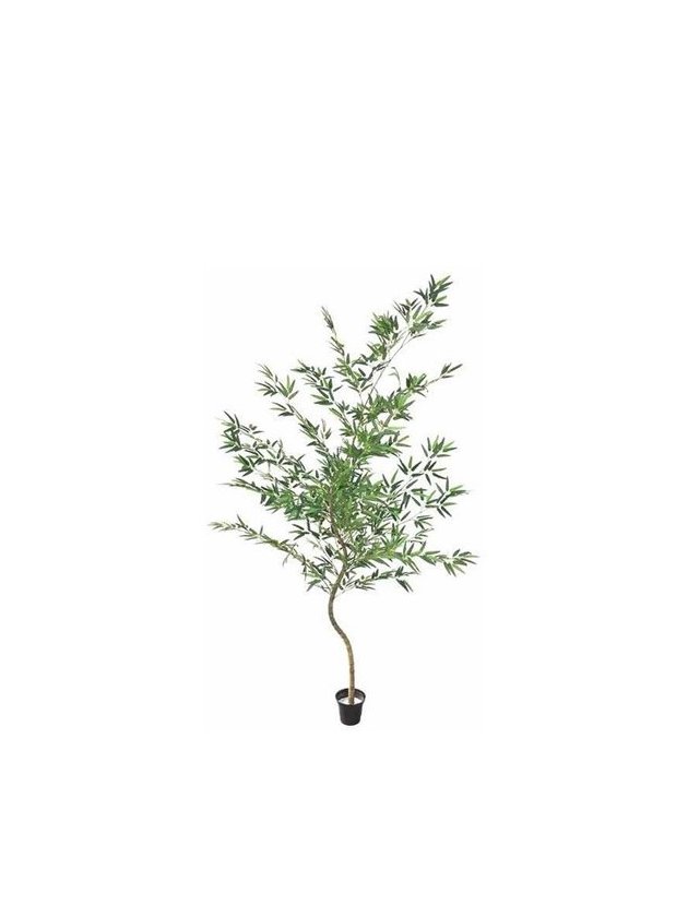 arvore de bambu verde media artificial lili casa e construcao