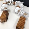 colar decorativo sementes branco madeira lili casa e construcao