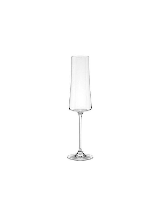 taca xtra champgne moderna cristal boehmia lili casa