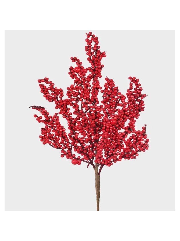 haste berry vermelho natal lili casa