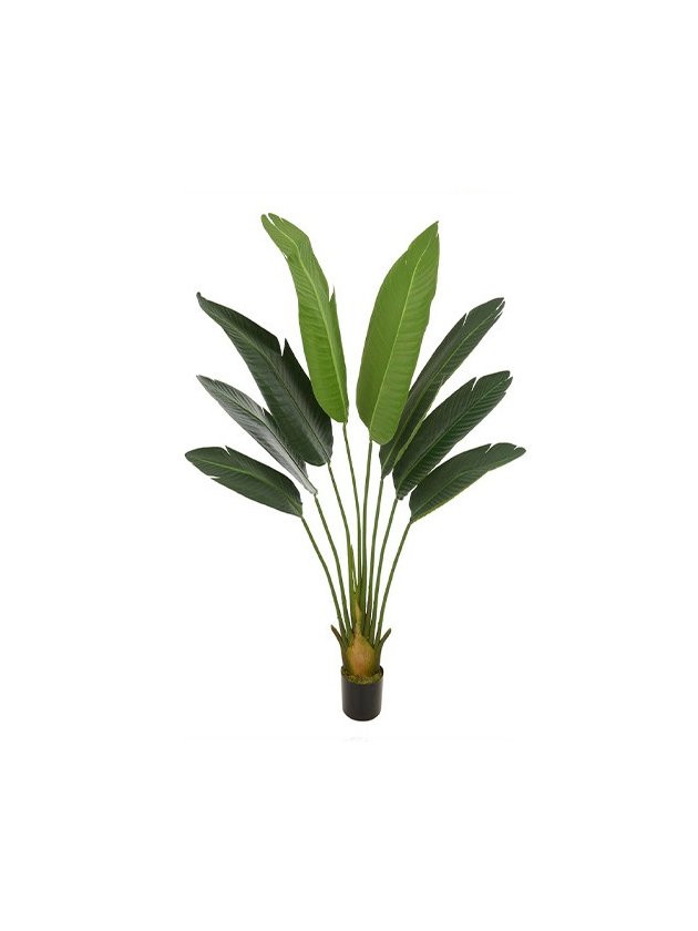 arvore de palmera estrelizia verde grande artificial lili home decor