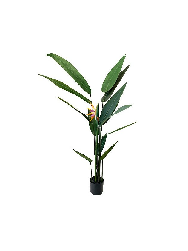 arvore estrelicia planta artificial lili casa home decor