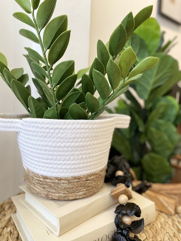 Folhas Zamioculca Verde Escuro com Vaso Grande Planta ArtificialÚnico