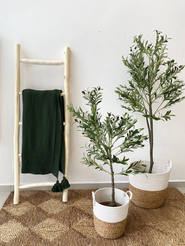 whatsapp image 2024 01 20 at 11 48 01 1