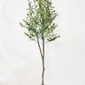 arvore de oliveira alta planta toque real lili casa home decor