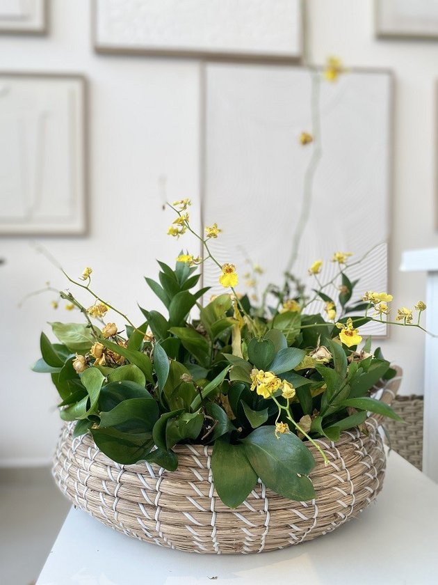 centro de mesa etnico lili casa