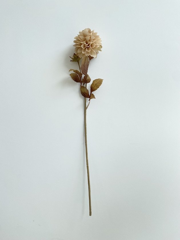 haste dalia detalhe lili casa