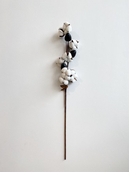 haste de algodao lili casa