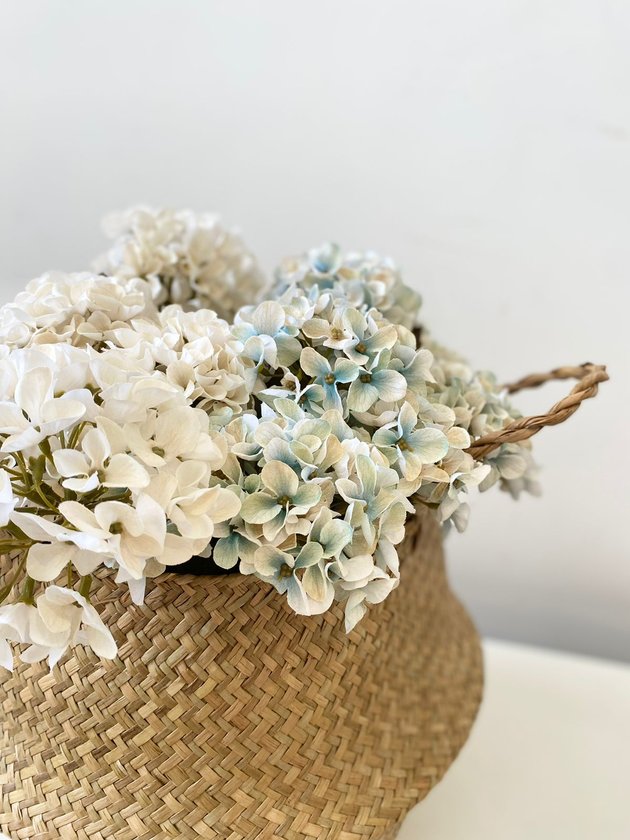 whatsapp image 2024 03 31 at 20 25 22