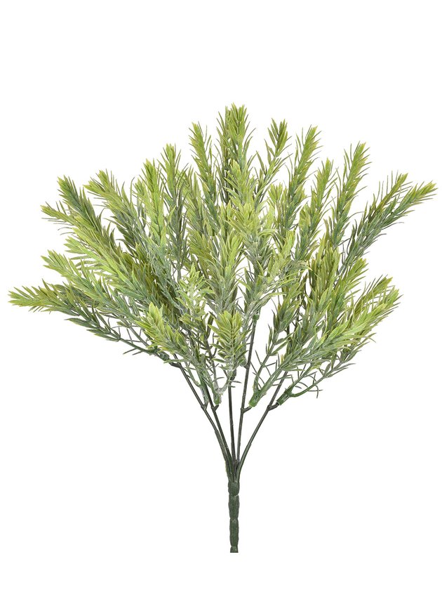 verdinho lili home decor