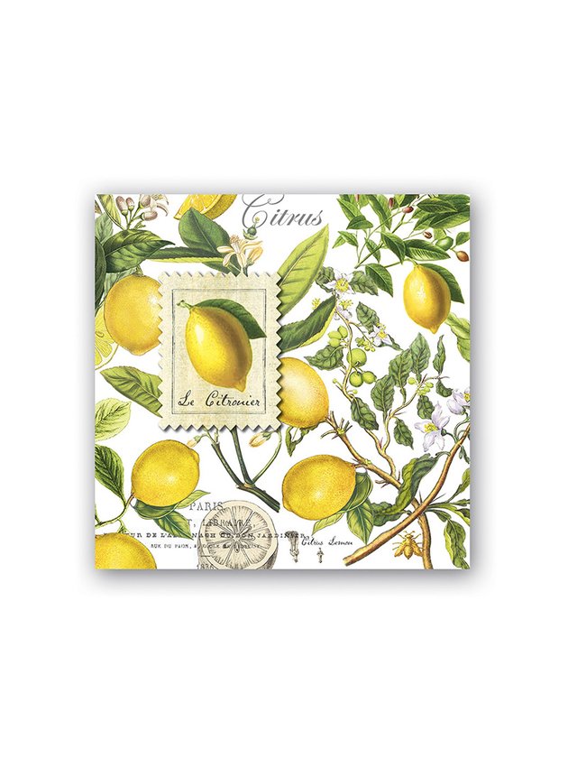 guardanapo lanche limao siciliano michel design works lili home decor
