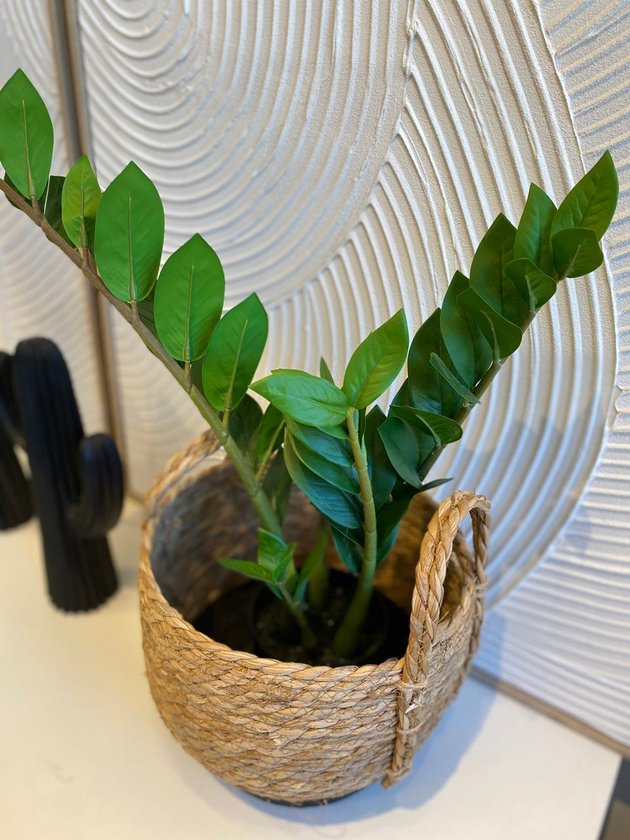 01e0b195 e378 4631 9e5e 6dd8e7dfef95