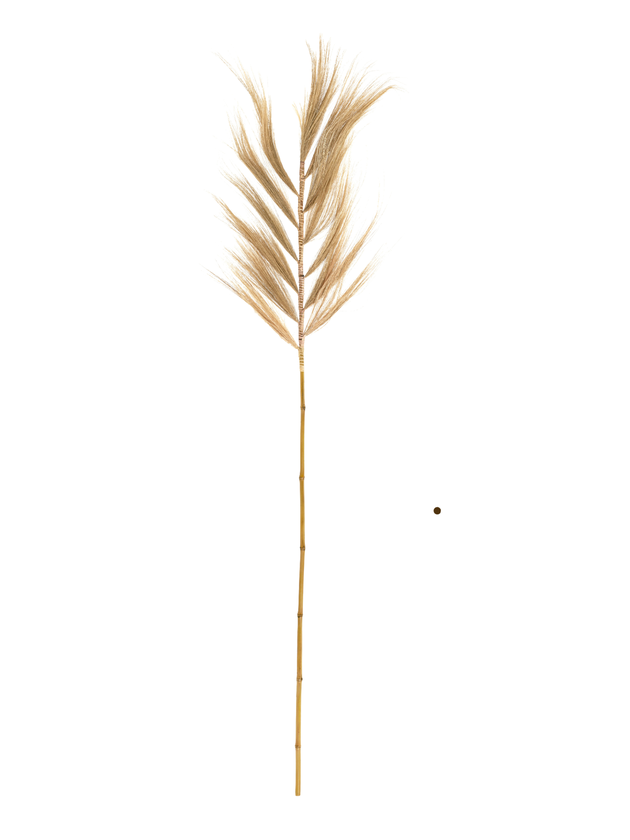 design sem nome 60 1