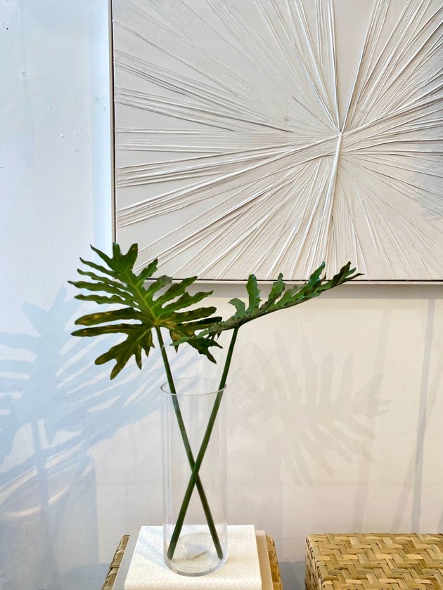 whatsapp image 2024 12 03 at 17 35 36