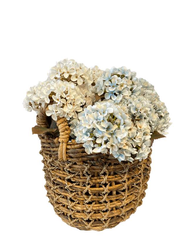 whatsapp image 2025 03 28 at 09 35 44 1 1