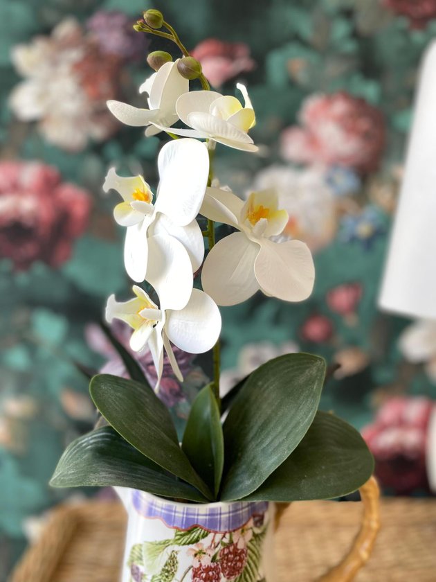 whatsapp image 2025 05 31 at 11 20 56 2