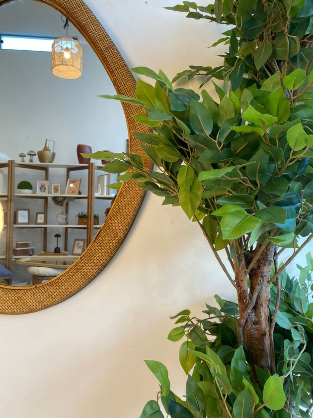 whatsapp image 2025 06 25 at 17 13 41