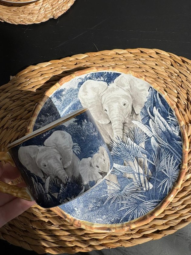 whatsapp image 2025 12 18 at 15 32 13